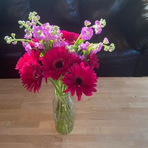 Meet your Posher, Lonnie